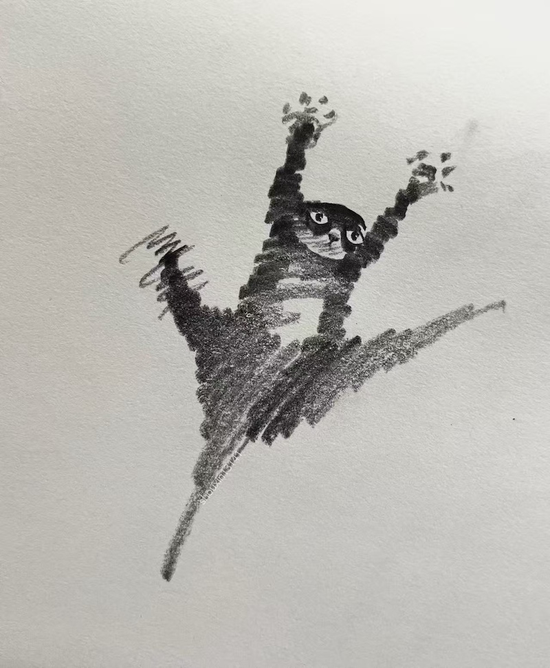 Cat Drawings by ShouXin
