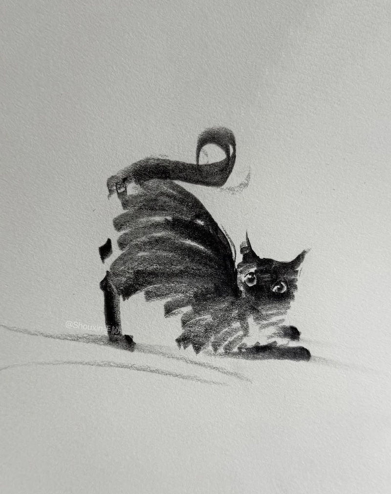Cat Drawings by ShouXin