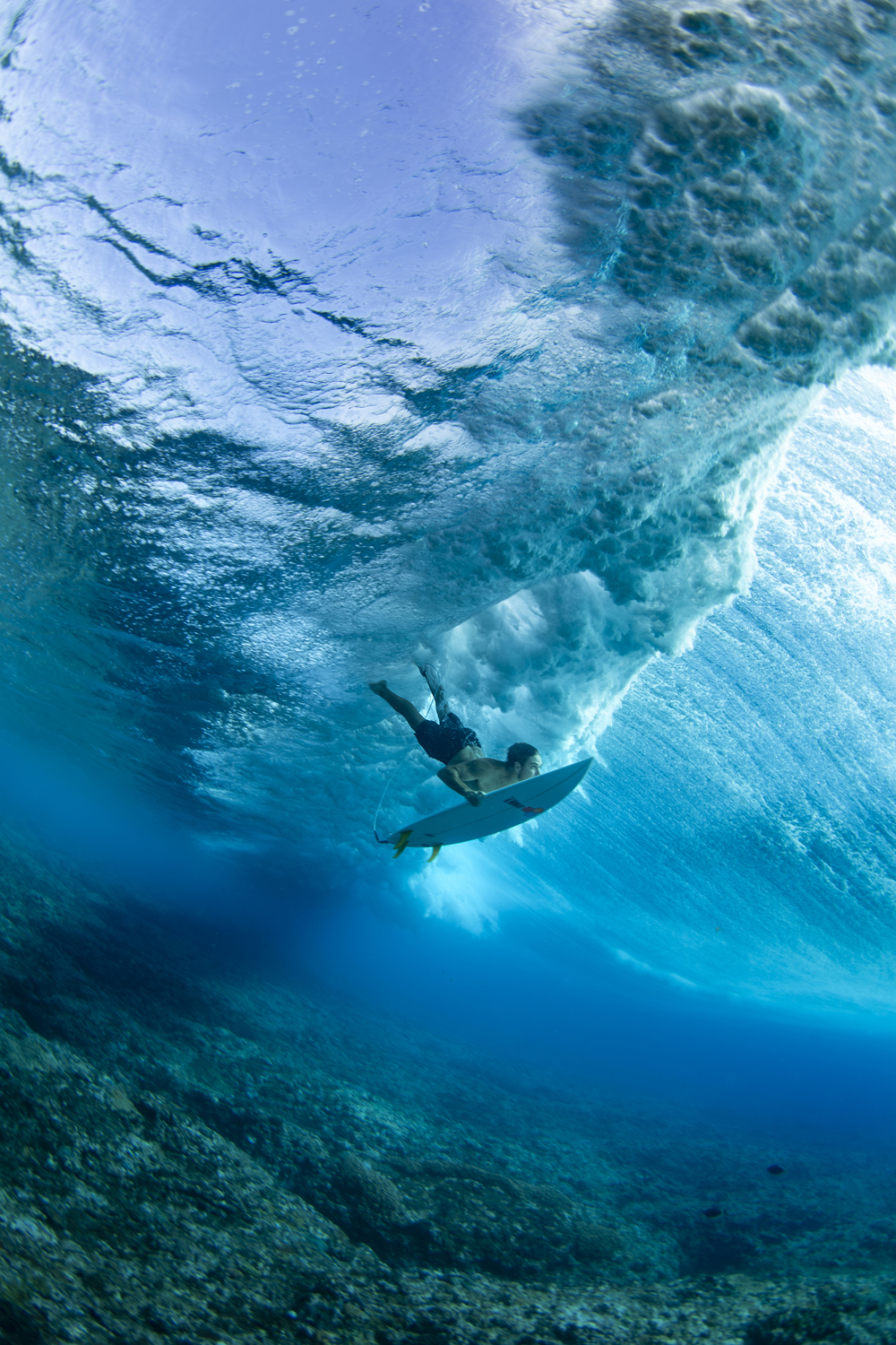 Winner, Best Single Image in Adventures & Experiences Portfolio. Frederico Figueiredo Cerdeira, &ldquo;Cloudbreak Reef, Tavarua Island, Fiji.&rdquo; 