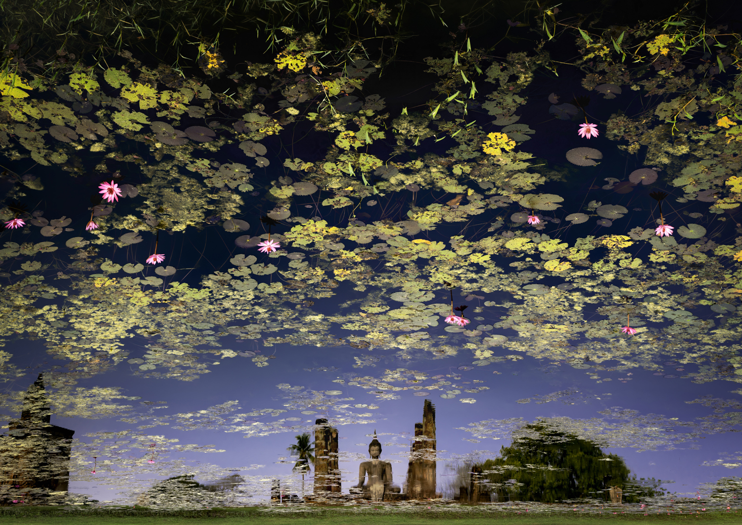 One Shot Winner: Green Planet. John Edwards, &ldquo;Sukhothai, Thailand.&rdquo;