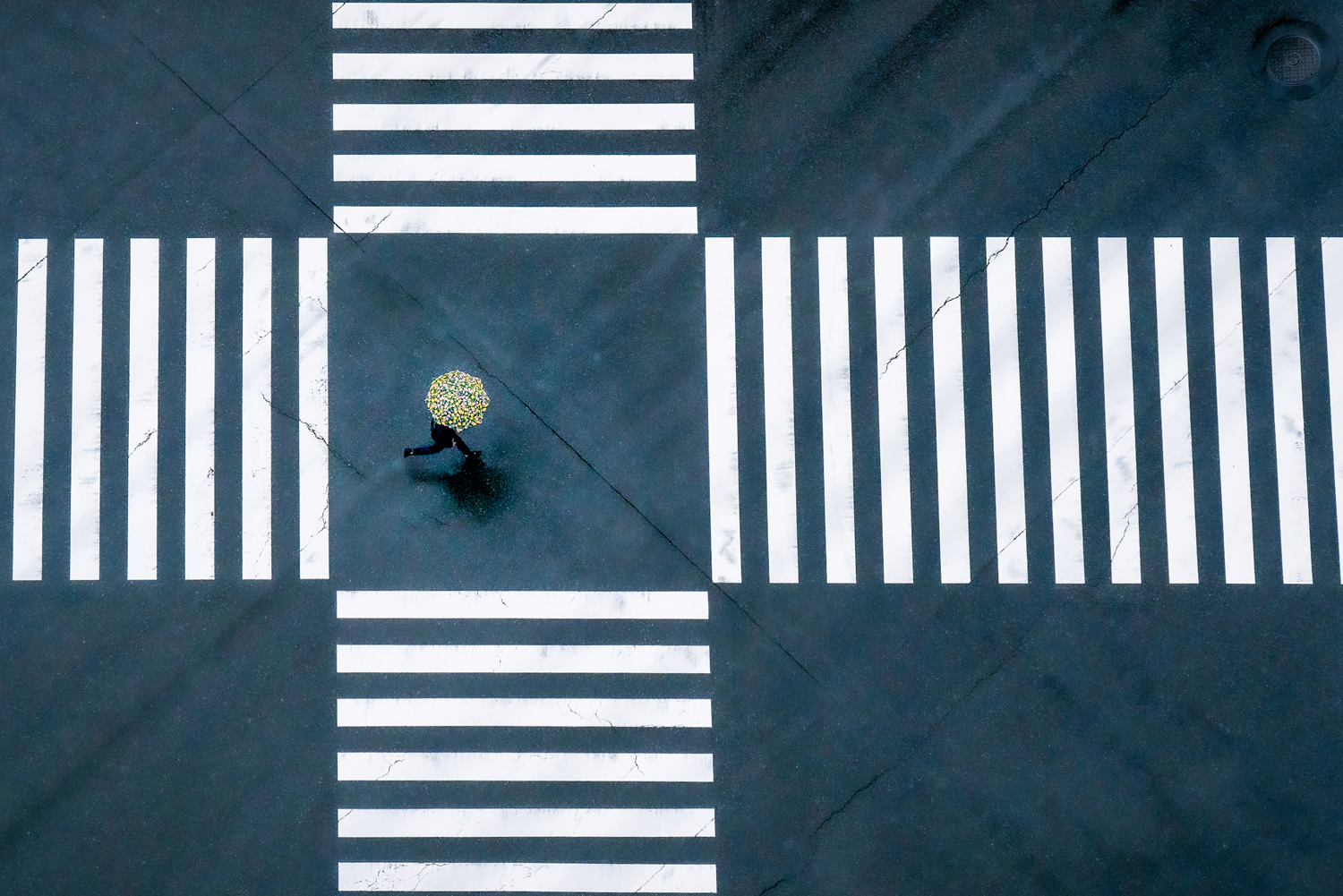One Shot Winner: Slow Travel. Teo Chin Leong, &ldquo;Tokyo, Japan.&rdquo;