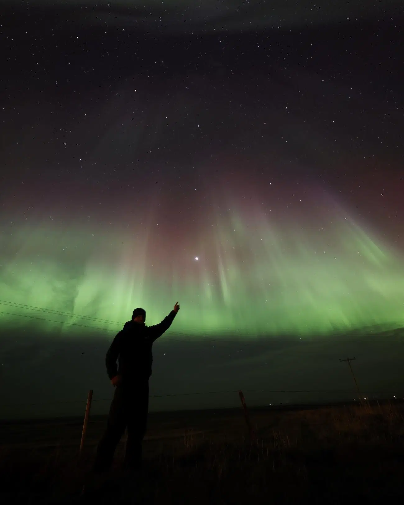 Aurora Photos by Wil Photography