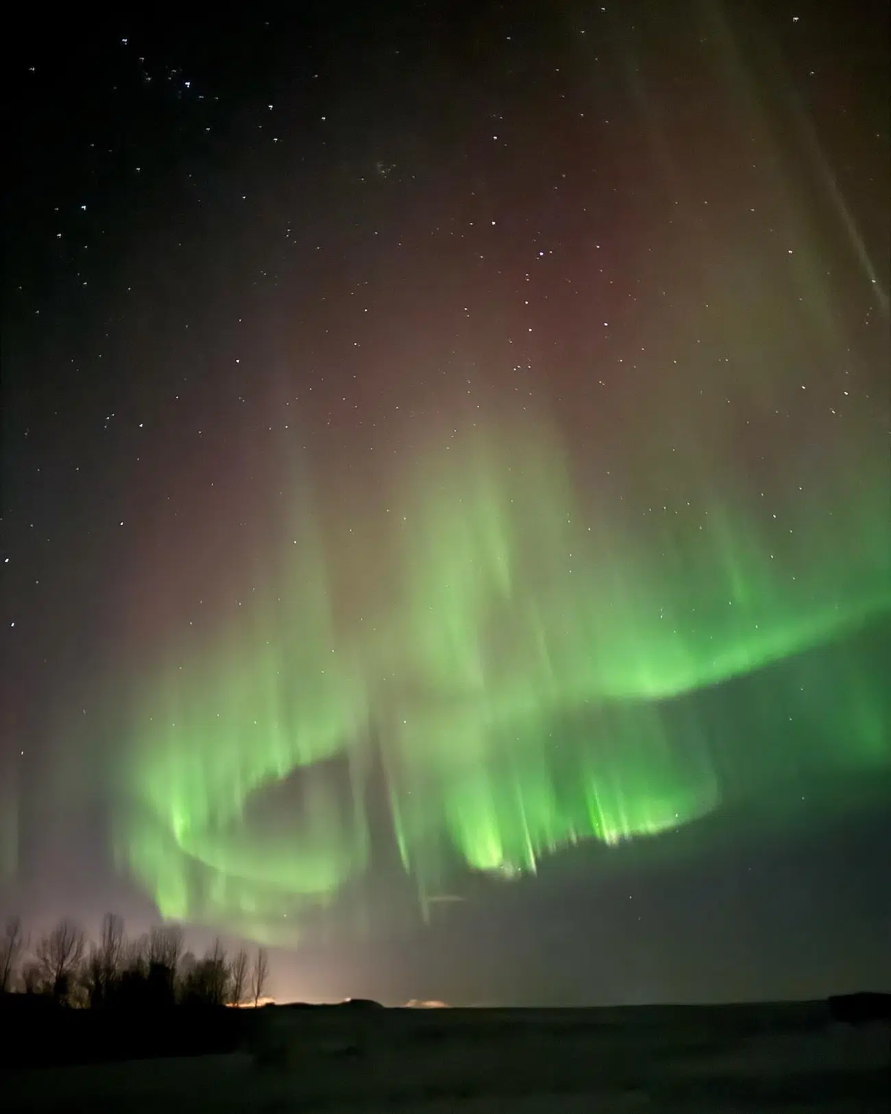 Aurora Photos by Wil Photography