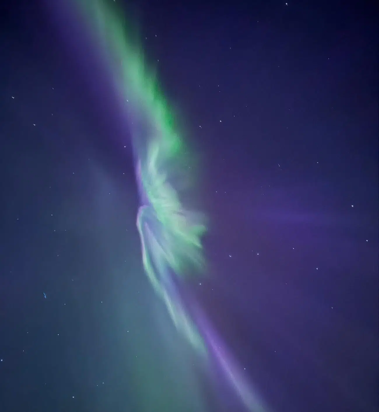 Aurora Photos by Wil Photography