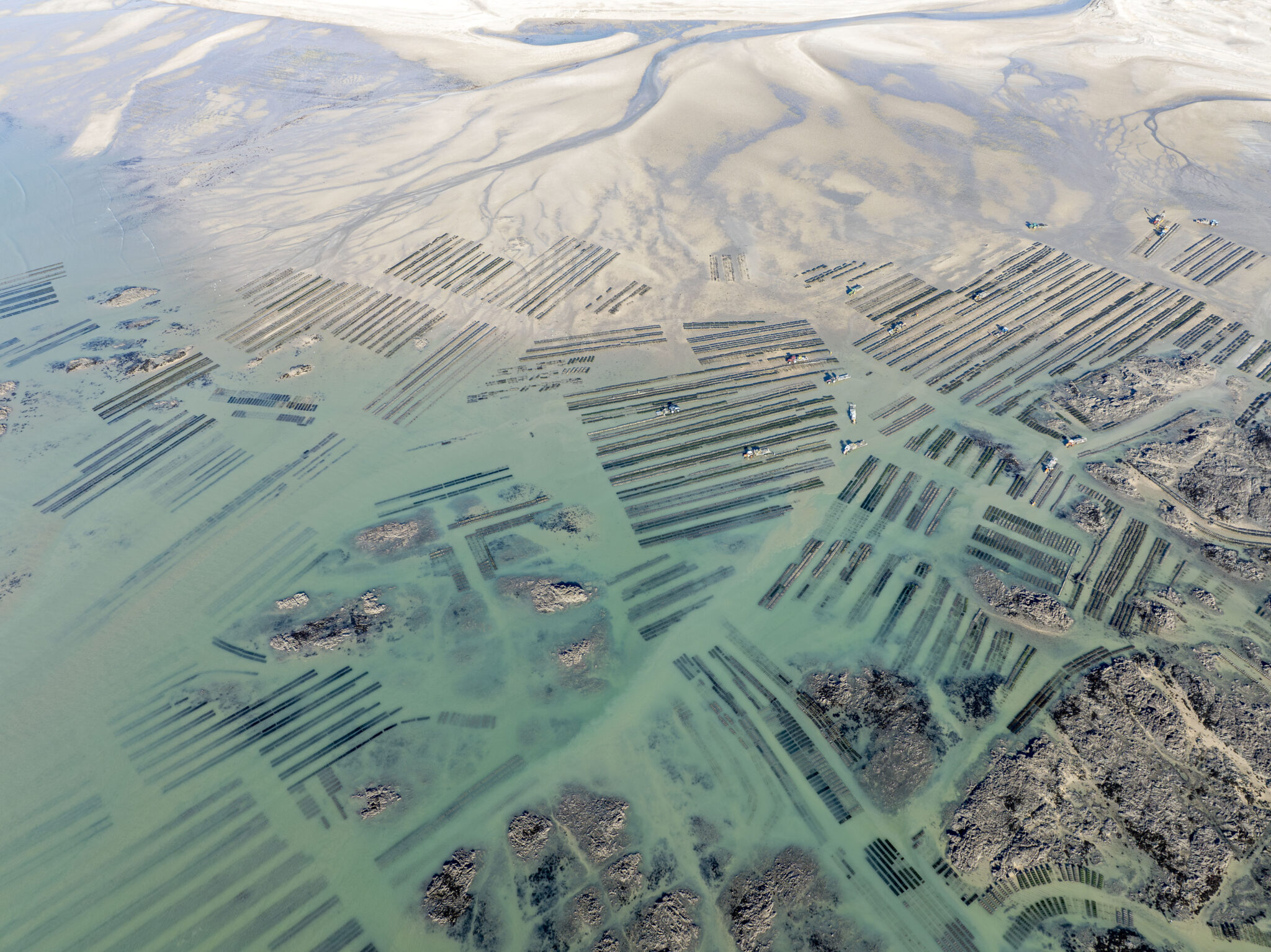 This series of abstract landscapes depicts oyster farming on the French coast of Normandy and Brittany, where the farms stretch along the entire coastline, shaping the character of the landscape.