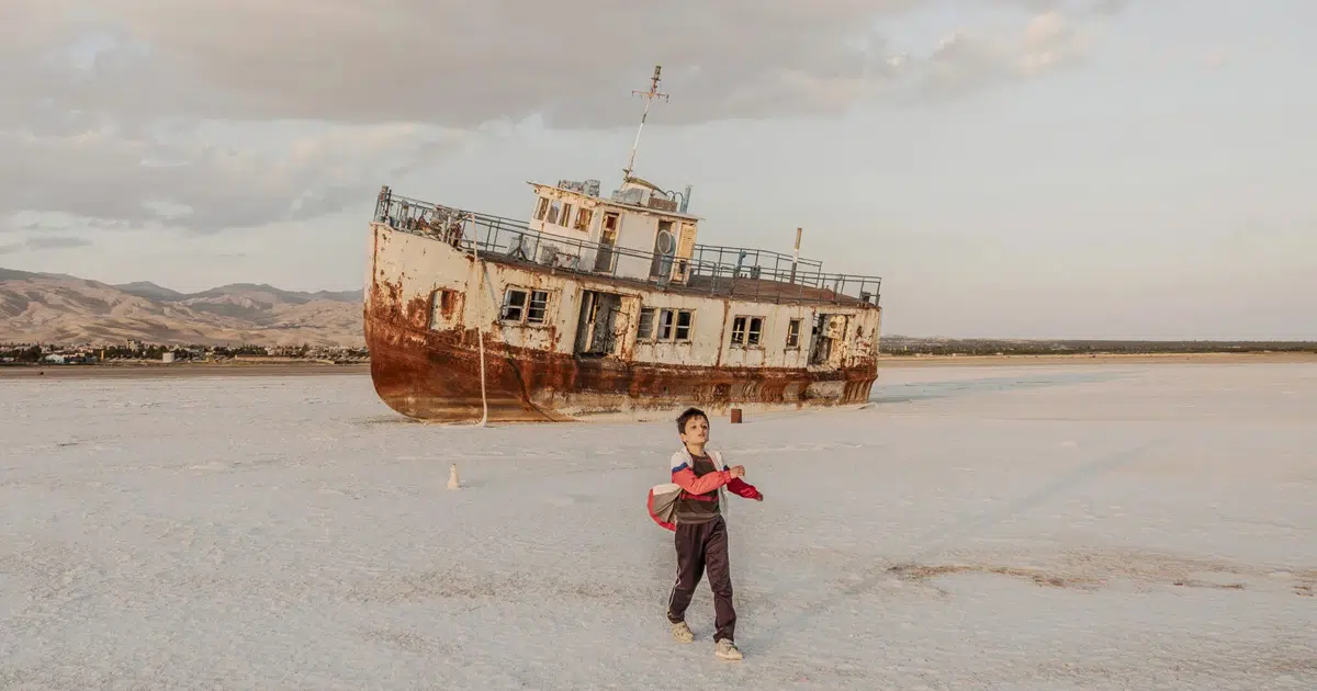 Discover the Remarkable Finalists of the 2026 Sony World Photographer Awards