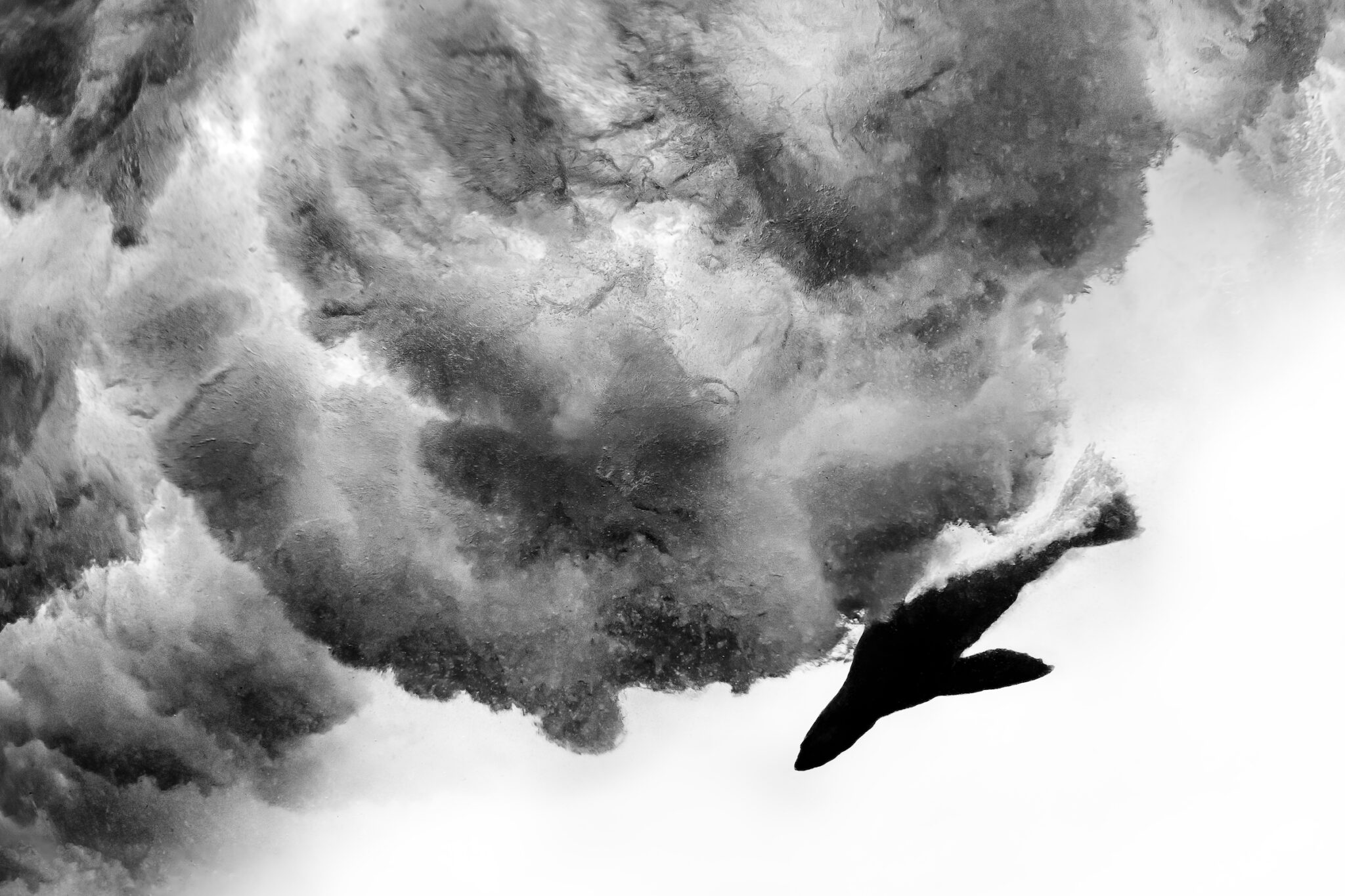 David Alpert, &ldquo;Power and Pace,&rdquo; Duiker Island, Cape Town, South Africa