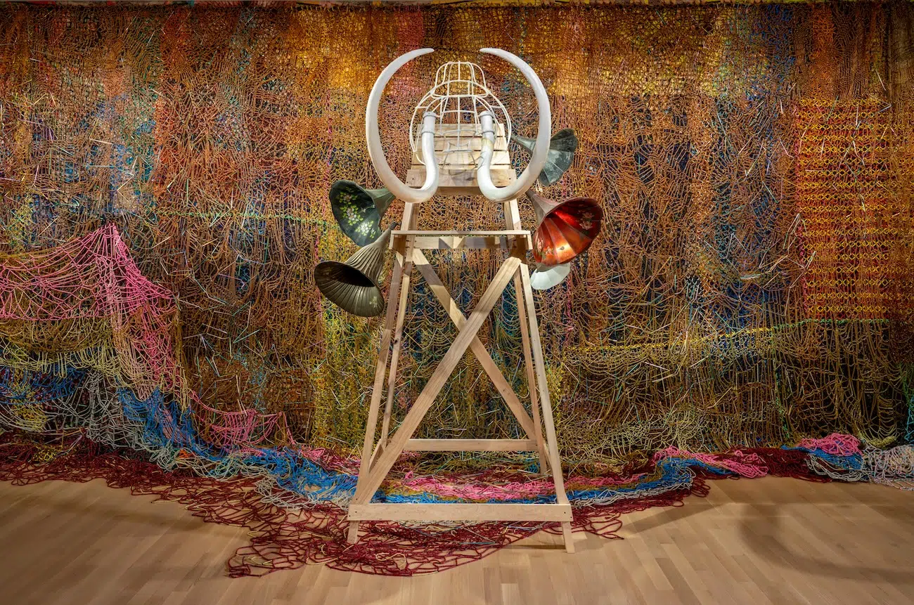 Nick Cave Exhibition at Smithsonian