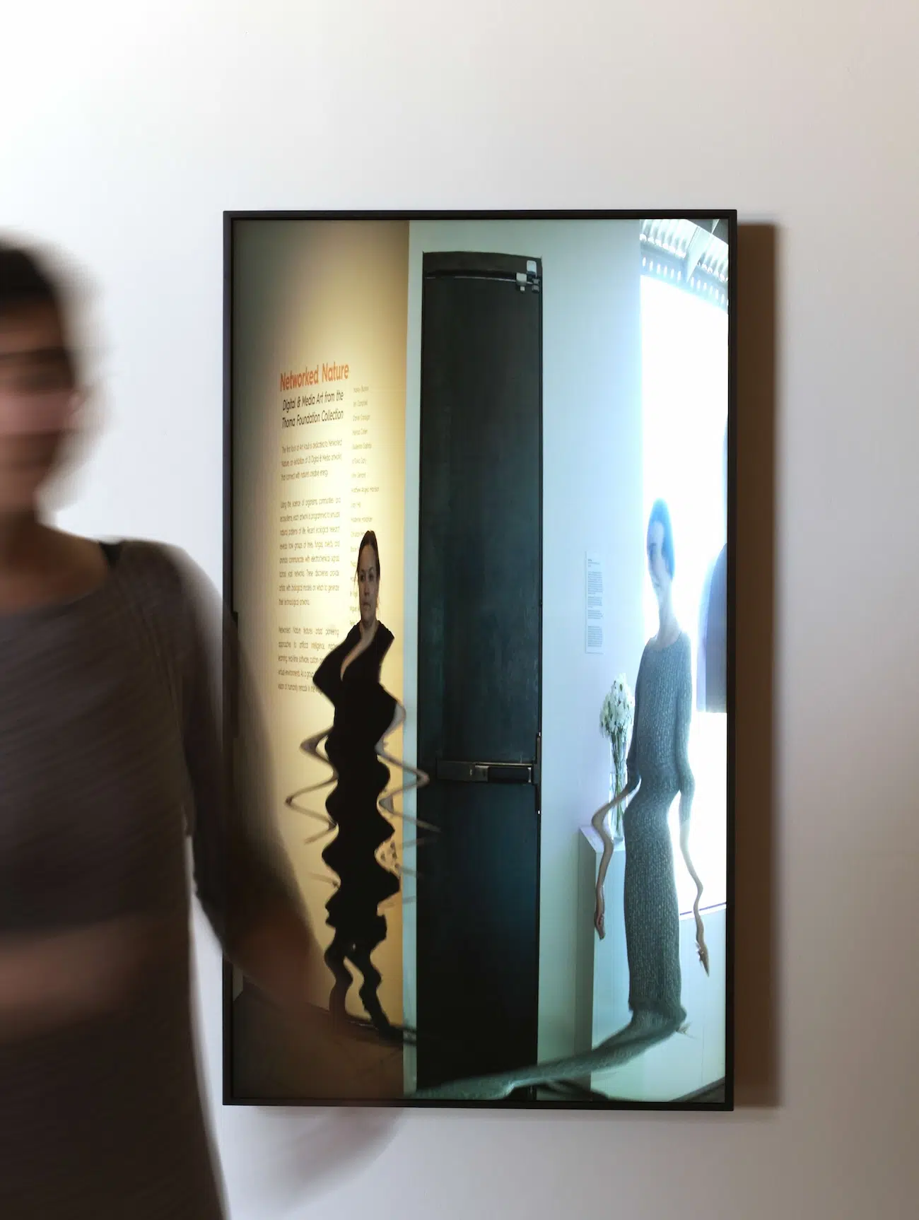 Interactive Mirror 