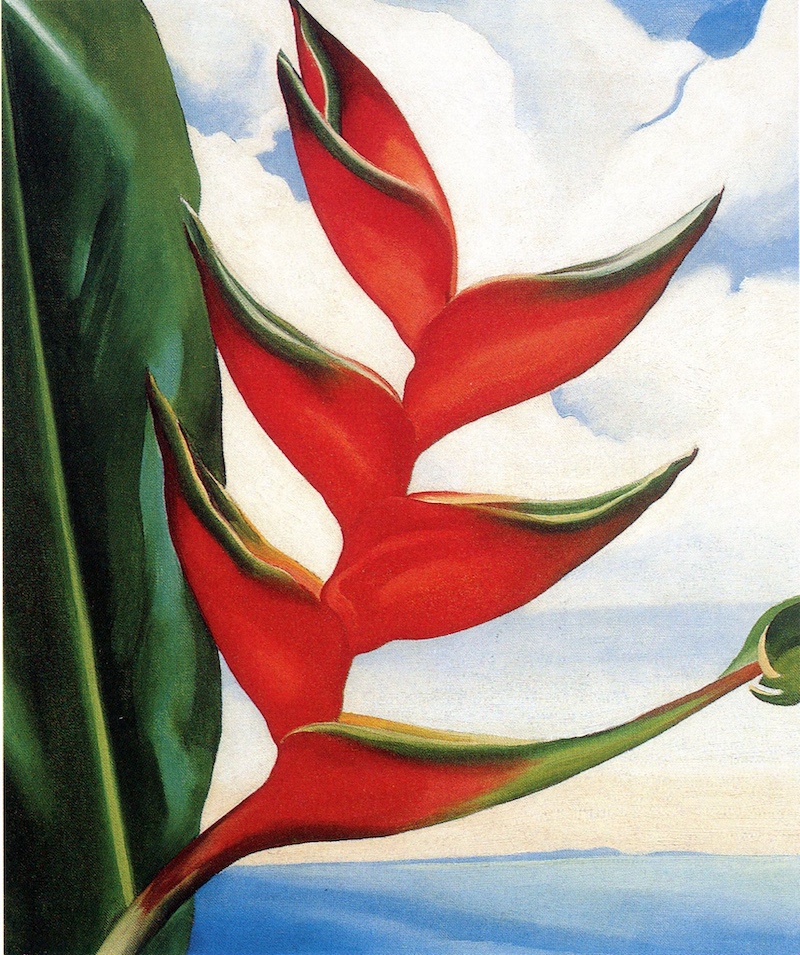 Access O&rsquo;Keeffe