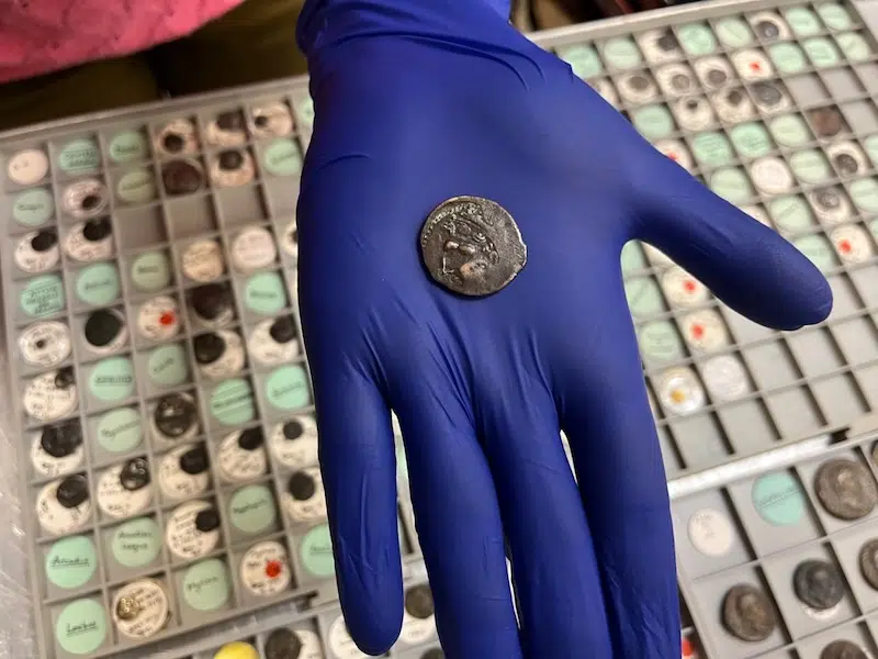 Ancient Carthaginian Coin Found