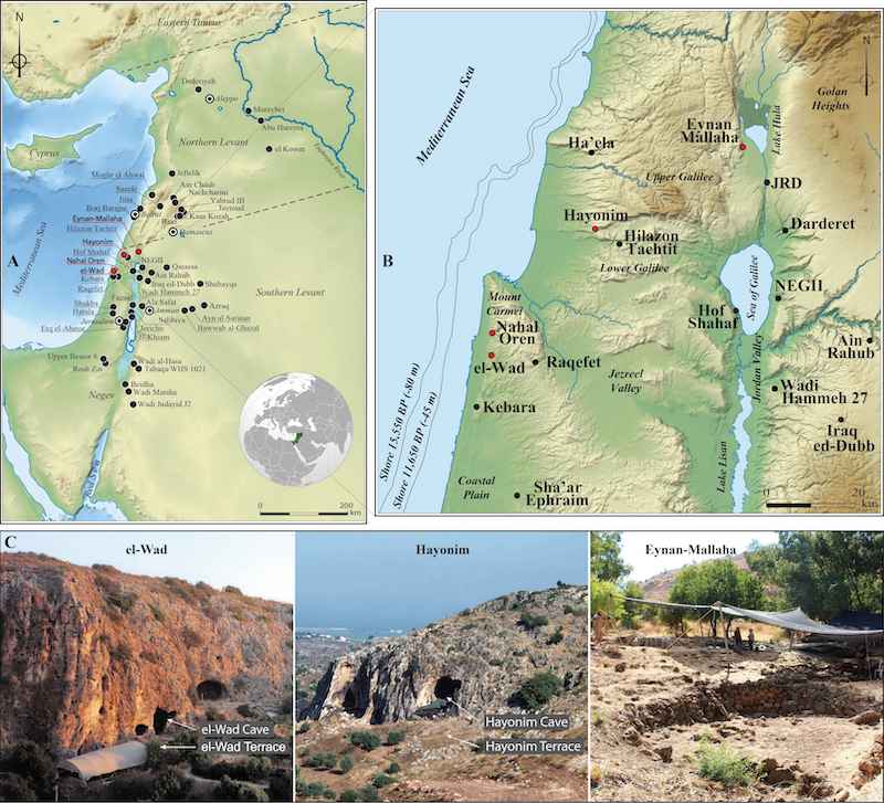Map of the Levant showing the location of the four Natufian sites