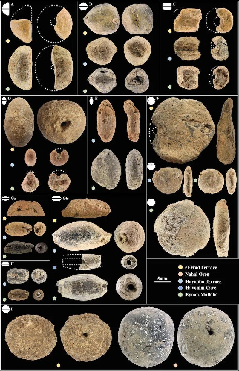Sample of the stylistic diversity of Natufian clay ornaments