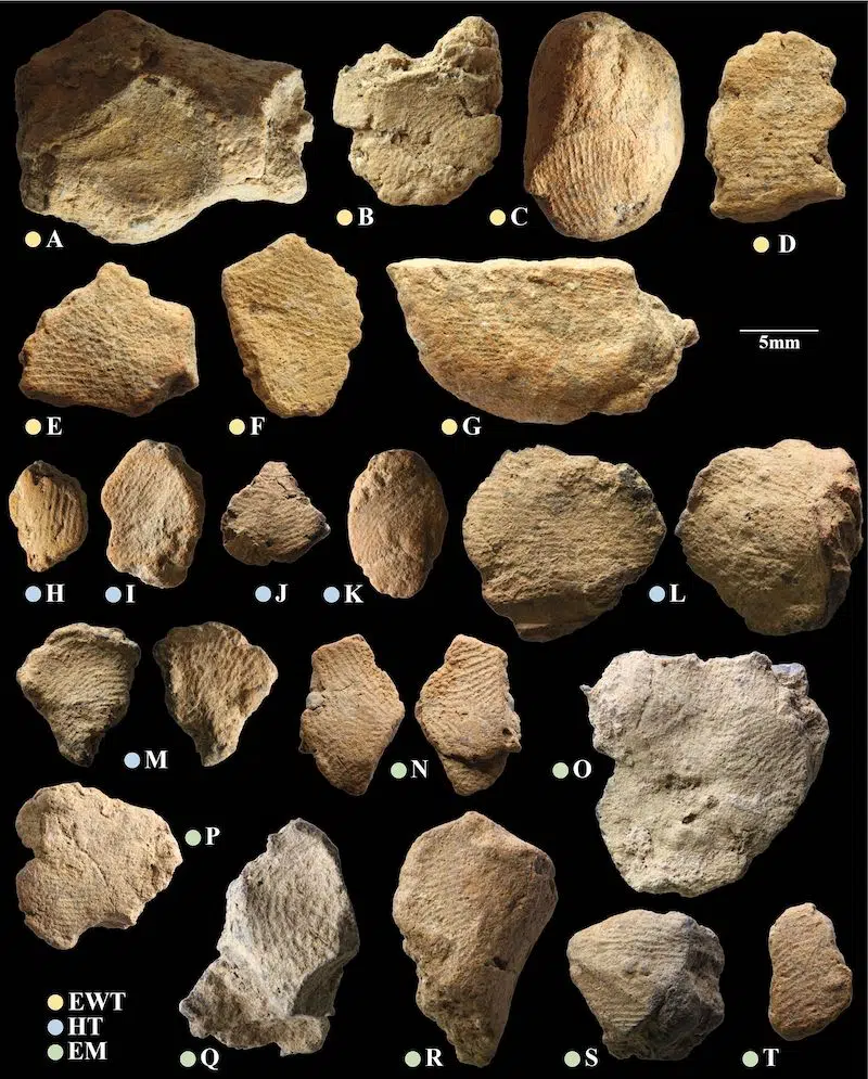 A sample of fingerprints from children and adults found on clay artefacts at the sites of el-Wad, Hayonim Terrace, and Eynan-Mallaha.