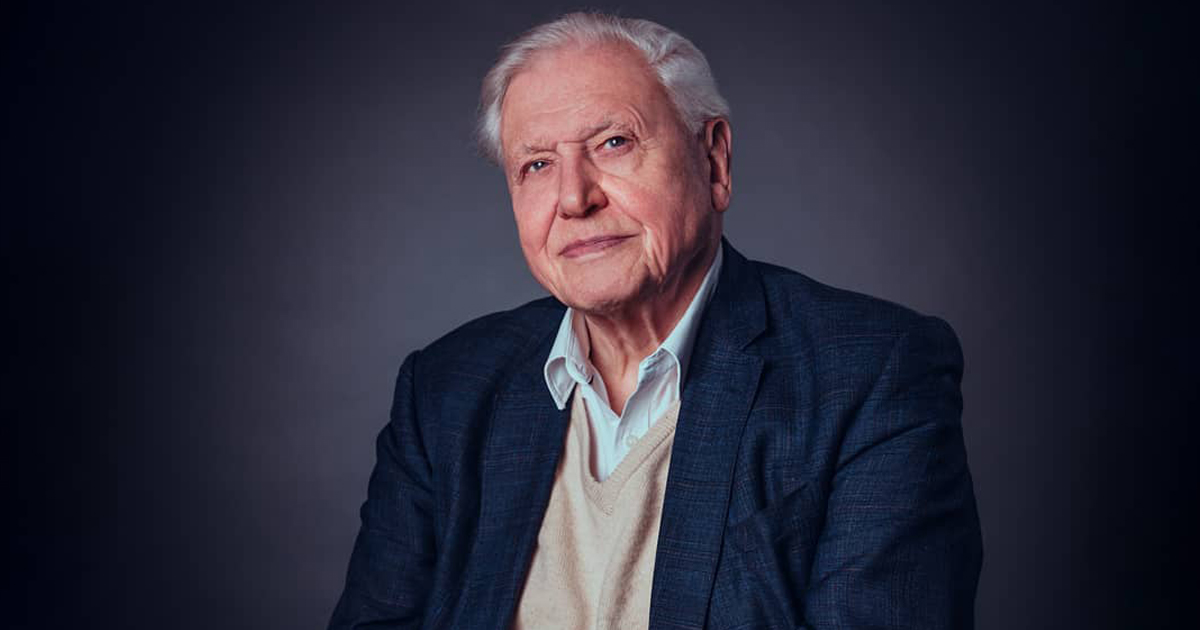 Sir David Attenborough Is Turning 100 With a Celebration of His Genre-Defining Work