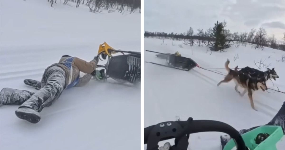 Real-Life Hero Rescues Woman Being Dragged by Toppled-Over Dog Sled