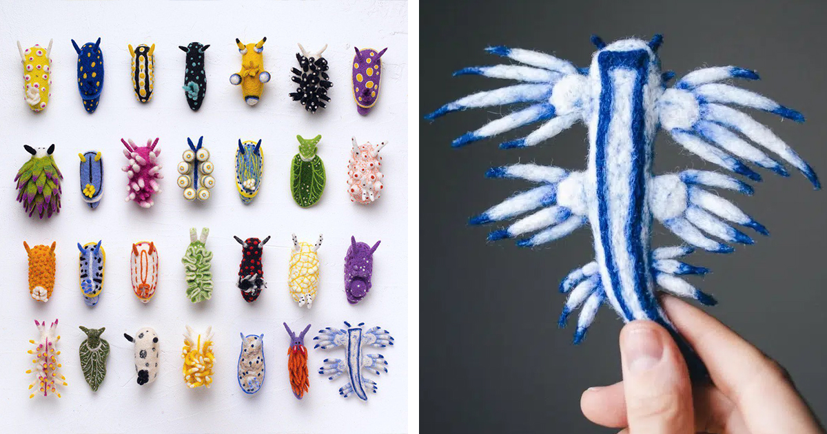 Wool Artist Recreates Over 40 Colorful Sea Slug Species as Whimsical Felt Sculptures