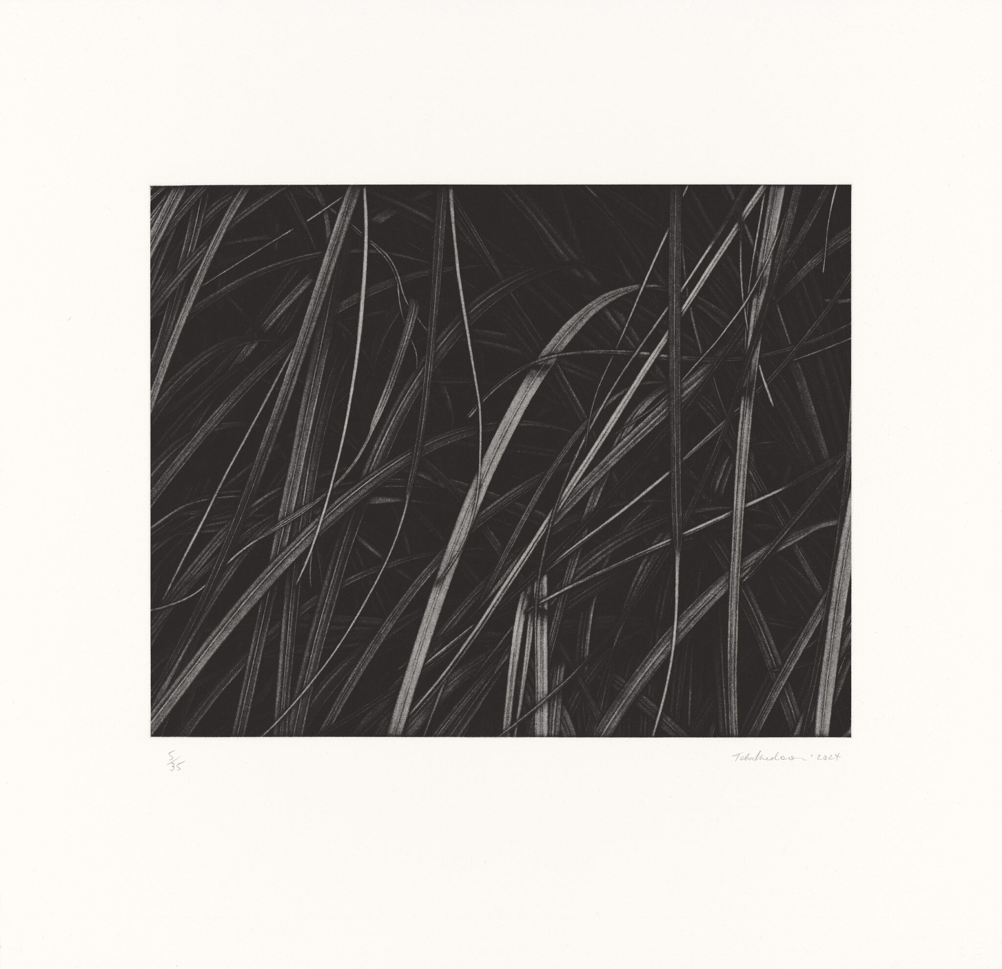 Toba Khedoori, “Untitled 2,” 2025. 1-color mezzotint, edition of 35