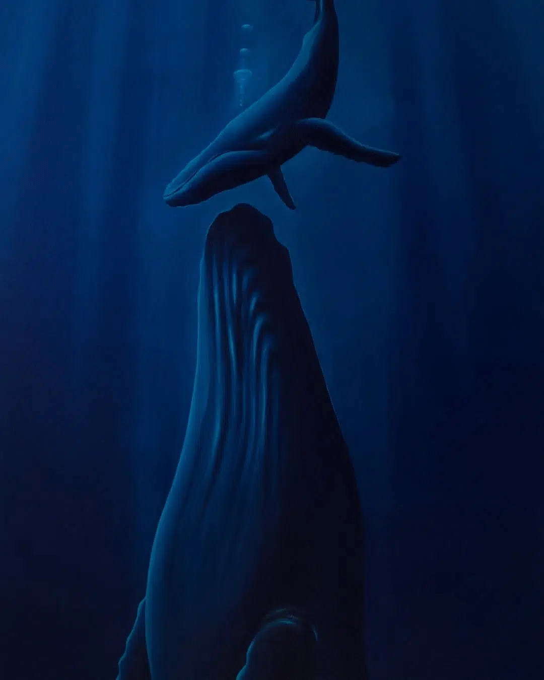 Whale Paintings by Havilah Abrego