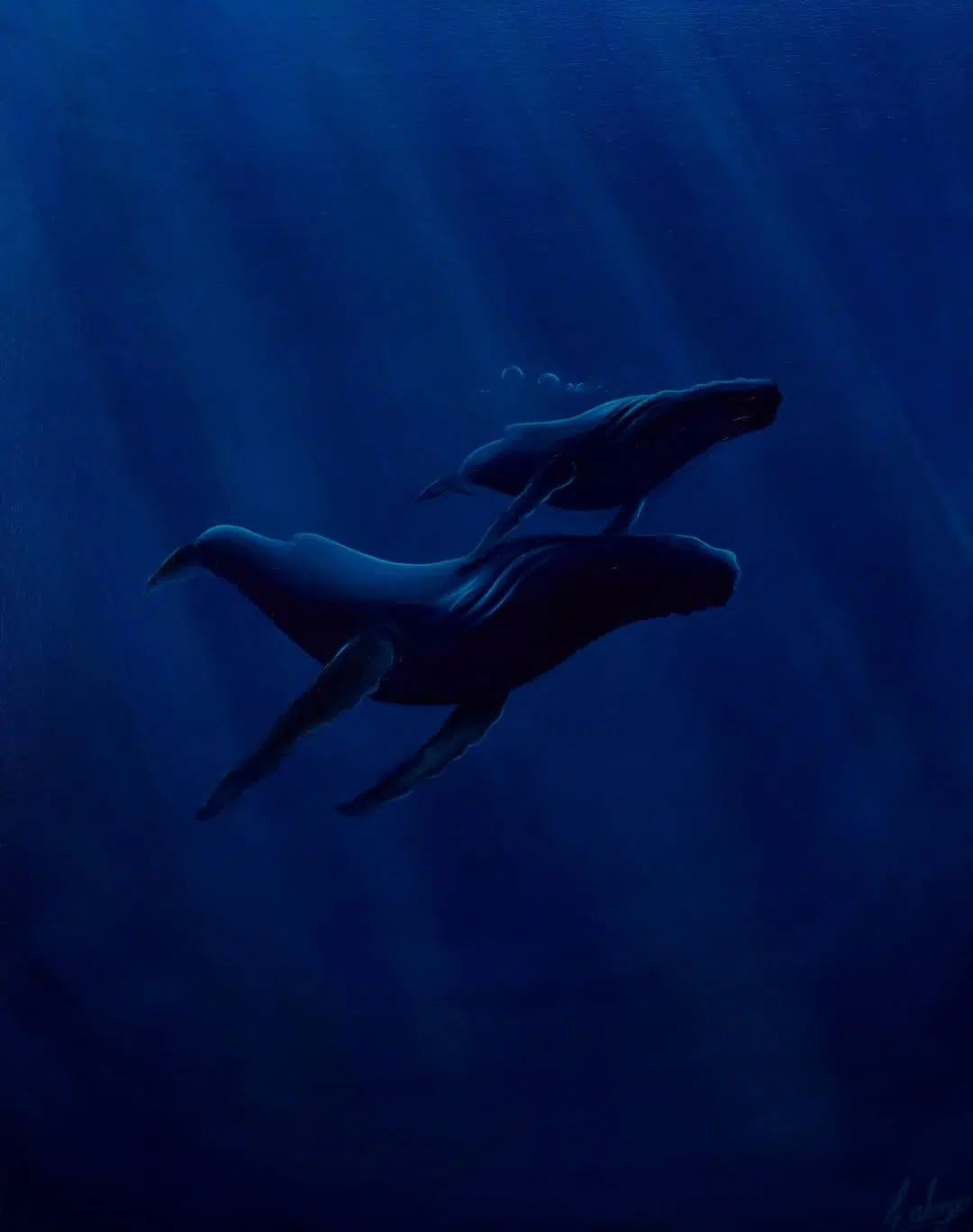 Whale Paintings by Havilah Abrego