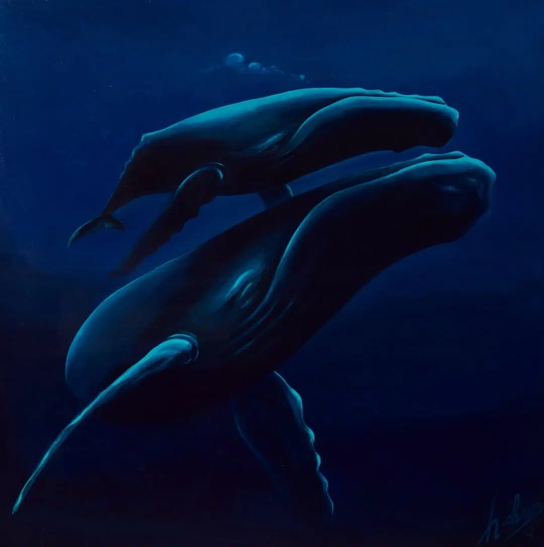 Whale Paintings by Havilah Abrego