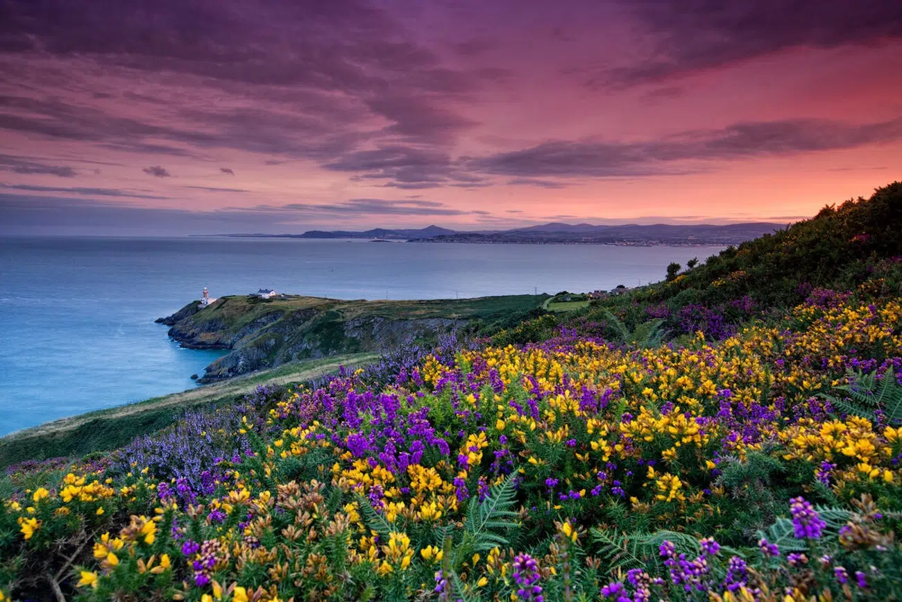 Howth Head