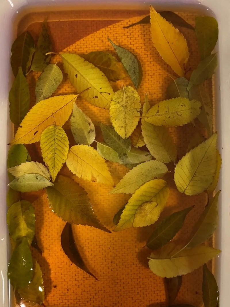 Handmade Leaf Dress by Amanda Meyer