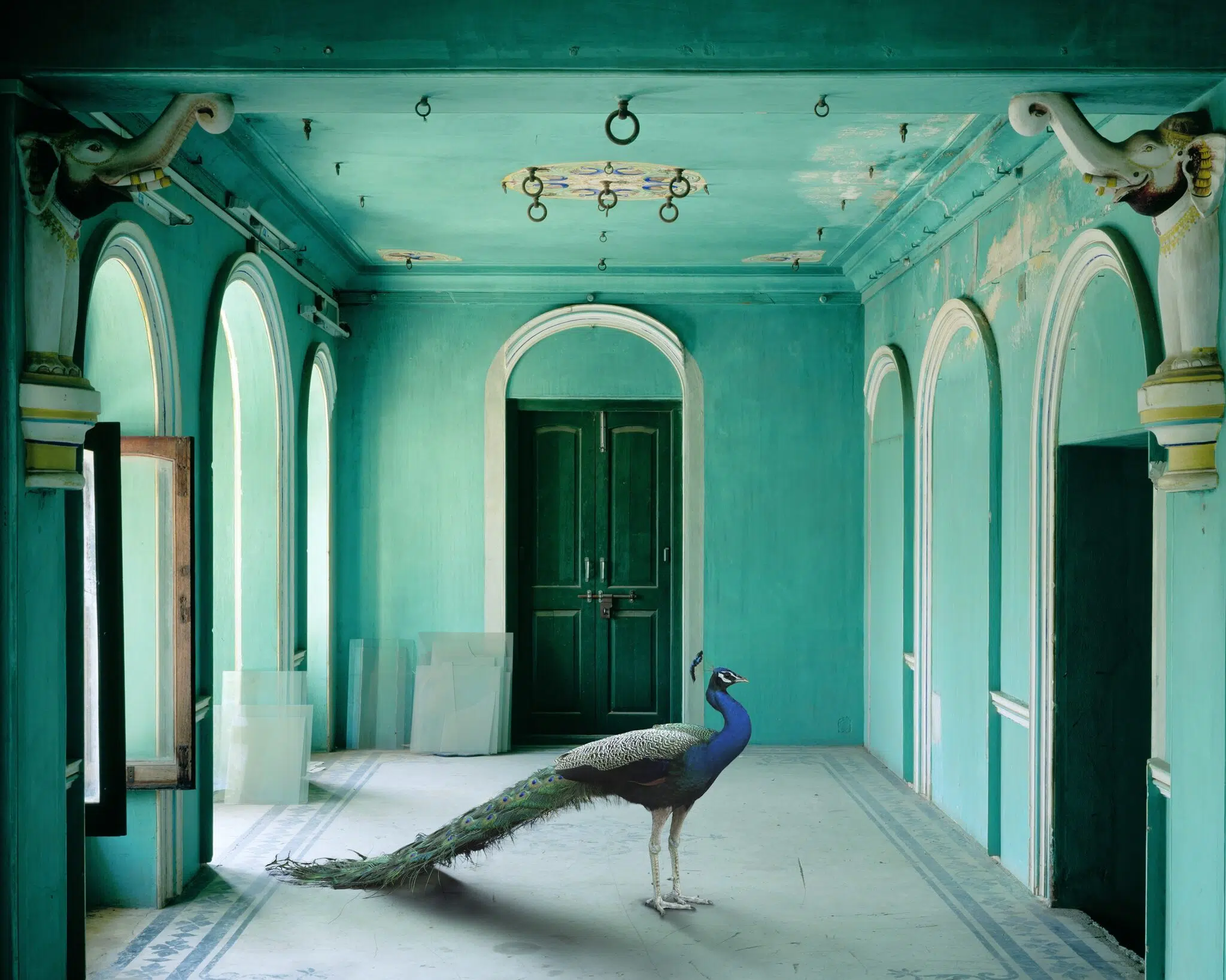 Photograph by Karen Knorr
