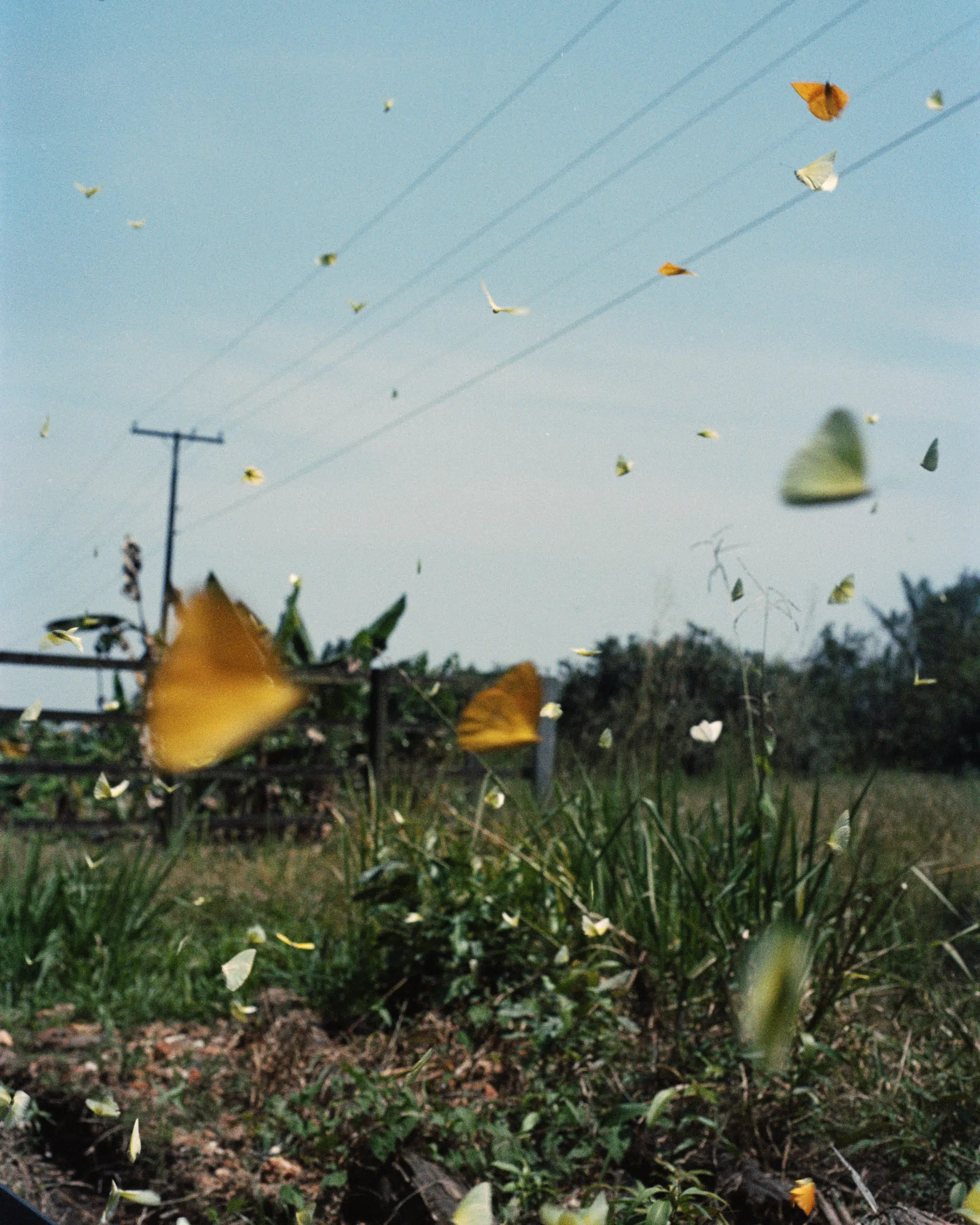 Photograph by Daniel Jack Lyons