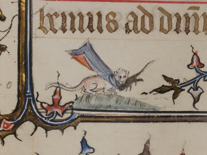 Medieval Manuscript Cat Paw Prints