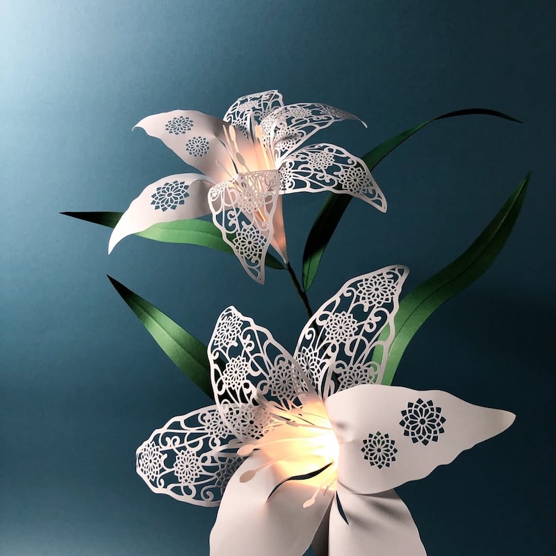 Paper Cranes by Naofumi Hama