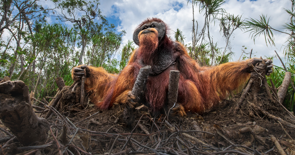 Winners of the Nature Photography Contest 2025 Capture Beauty With an Urgency To Act