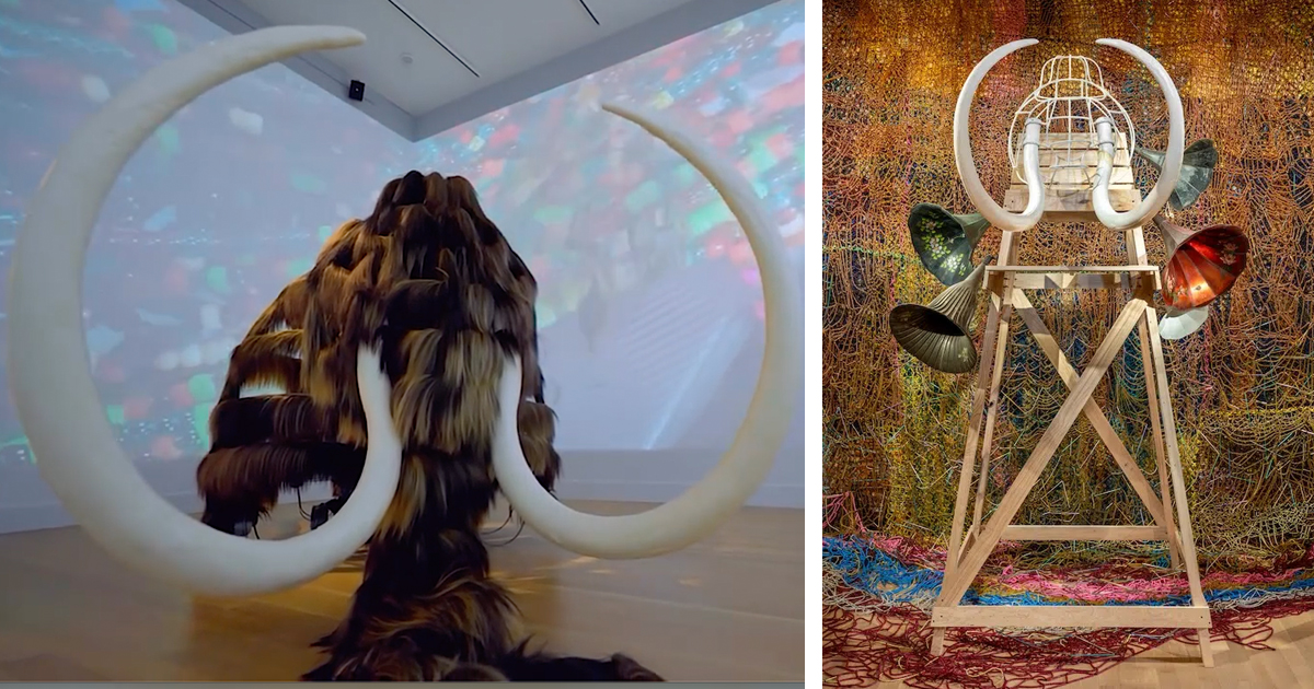 “Mammoth” Collection Is a Public Deep Dive Into Personal History