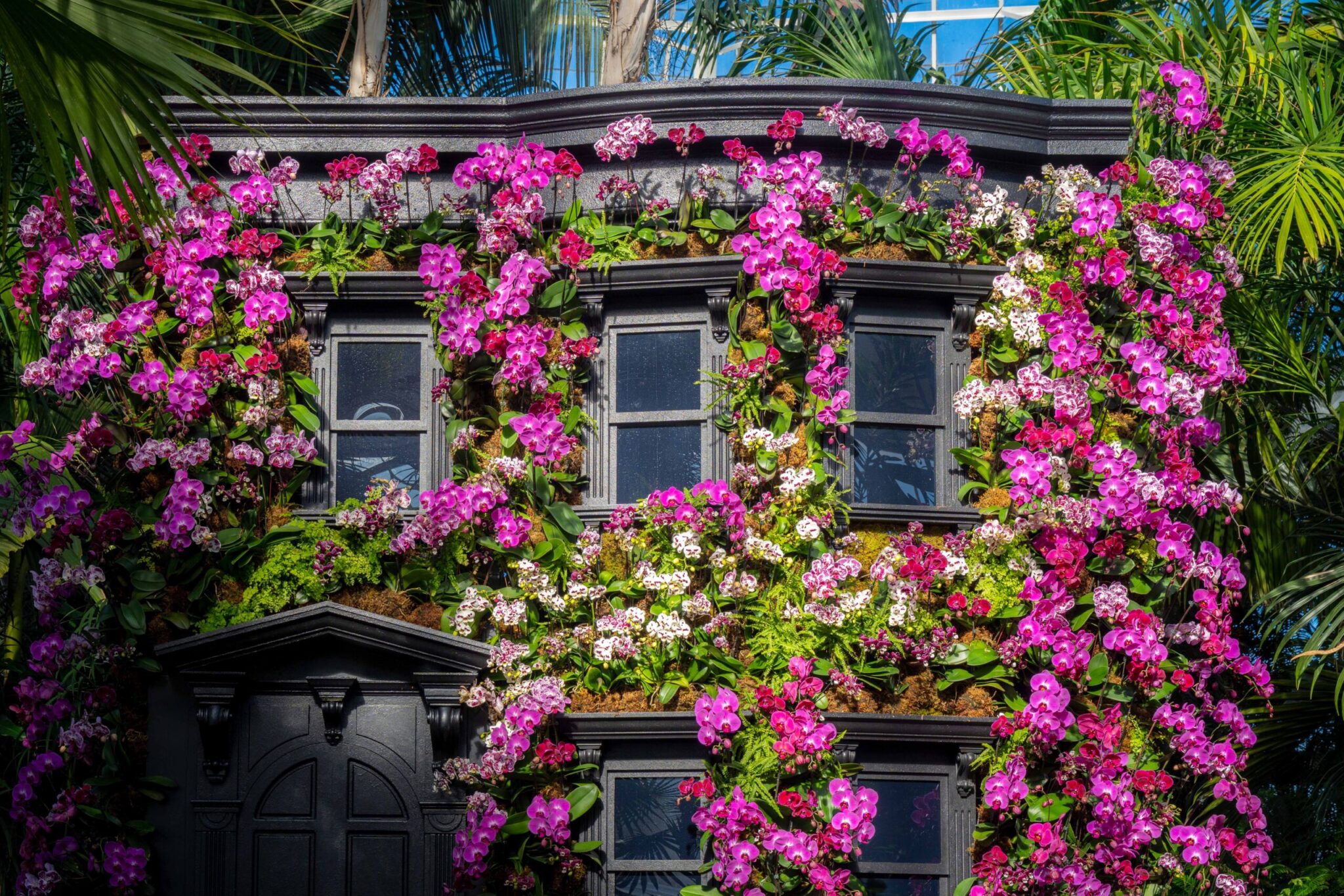 Brownstone featured in &ldquo;The Orchid Show: Mr. Flower Fantastic&rsquo;s Concrete Jungle,&rdquo; on view at NYBG in the Bronx.
