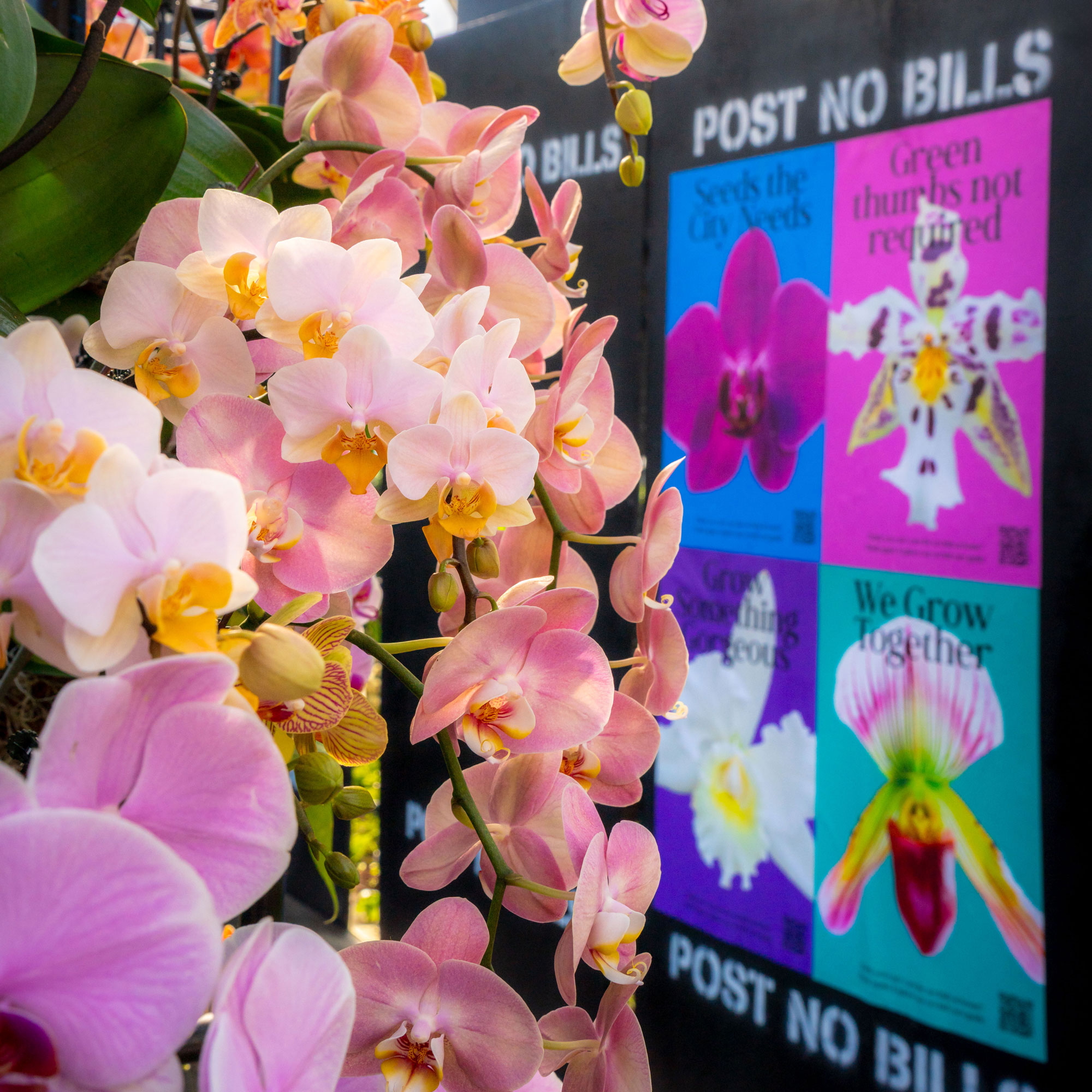 Orchids and flyers featured in &ldquo;The Orchid Show: Mr. Flower Fantastic&rsquo;s Concrete Jungle,&rdquo; on view at NYBG in the Bronx.