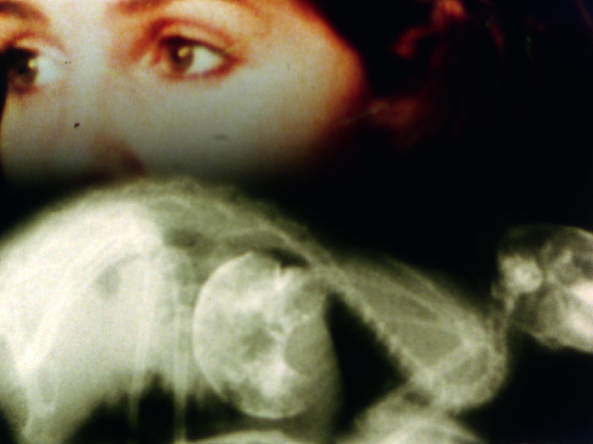 Barbara Hammer, &ldquo;Sanctus,&rdquo; 1990. 16mm film transferred to HD video