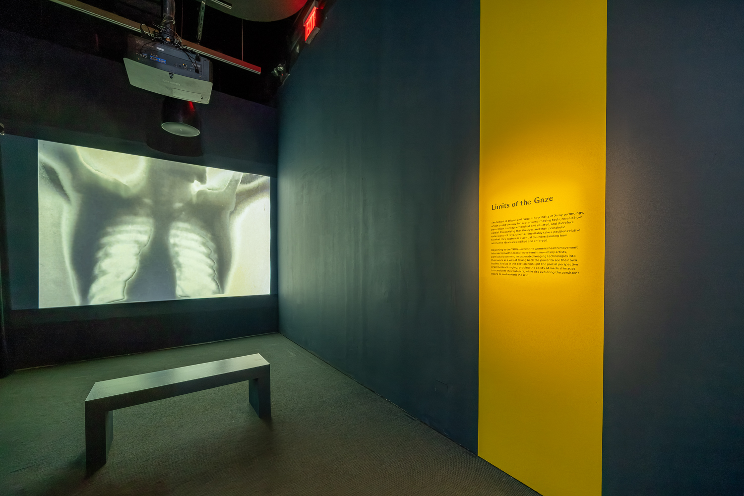 Installation view of &ldquo;Overexposed: Art, Technology, and the Body&rdquo; at the Museum of the Moving Image in Queens, NY