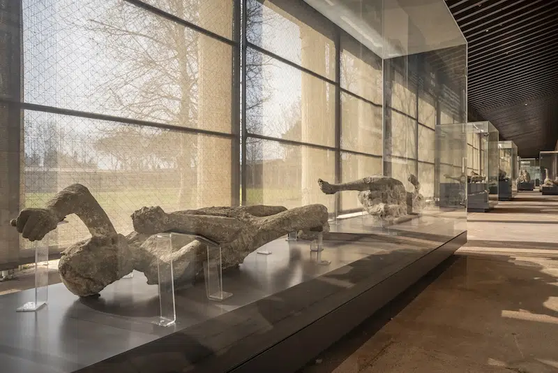 Plaster Casts of Pompeii Victims Exhibited