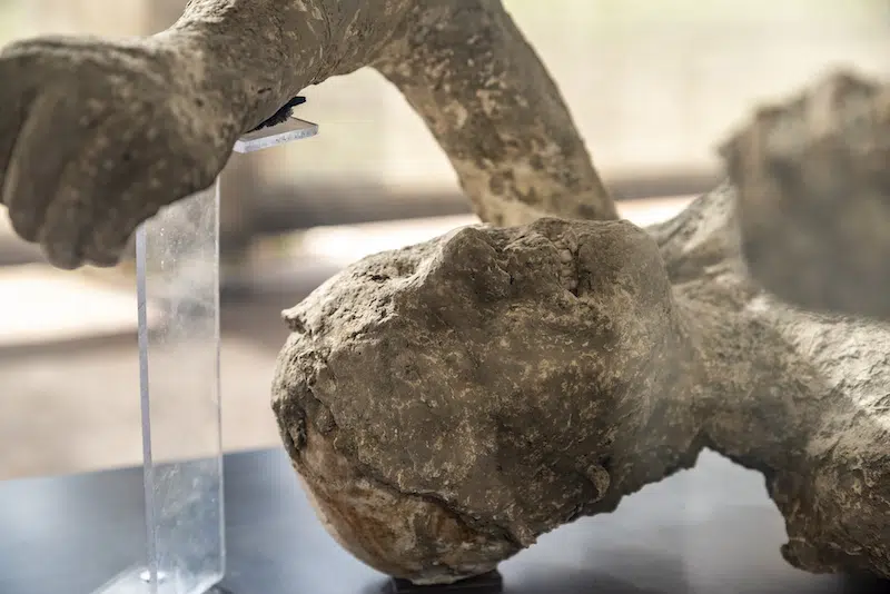 Plaster Casts of Pompeii Victims Exhibited