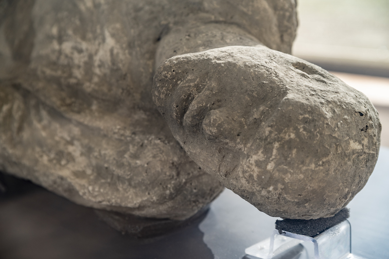 Plaster Casts of Pompeii Victims Exhibited