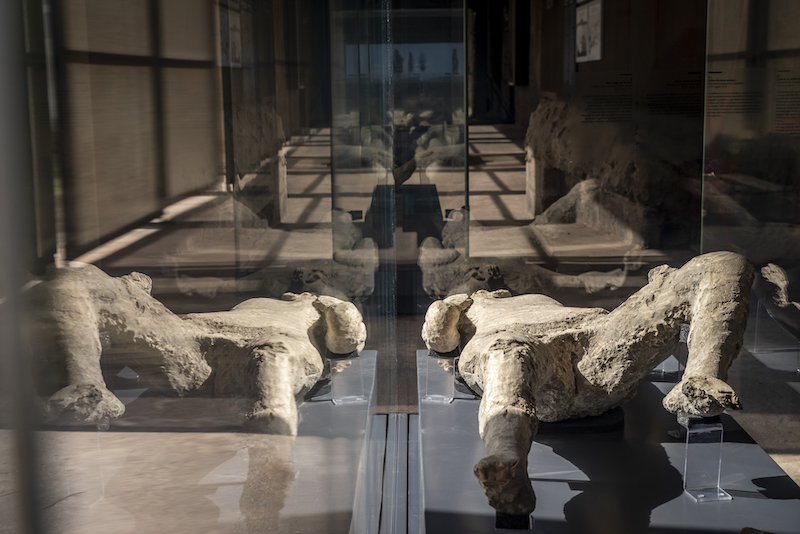 Plaster Casts of Pompeii Victims Exhibited