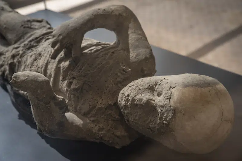 Plaster Casts of Pompeii Victims Exhibited