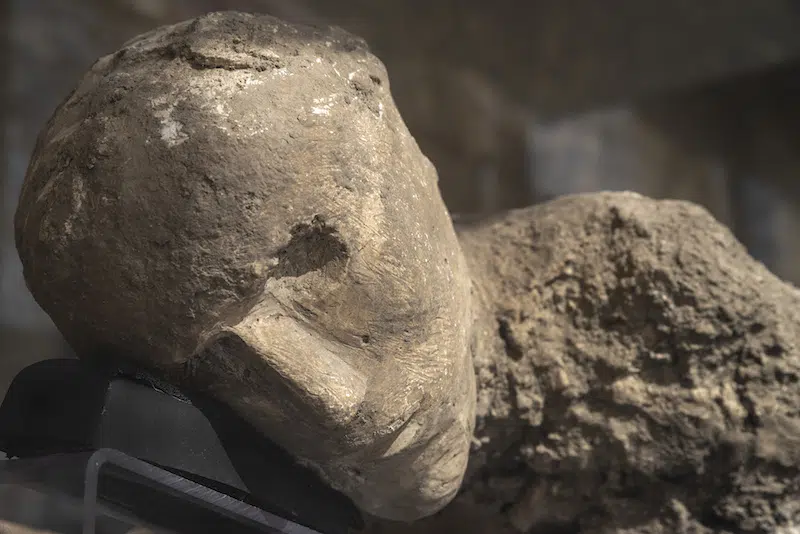 Plaster Casts of Pompeii Victims Exhibited