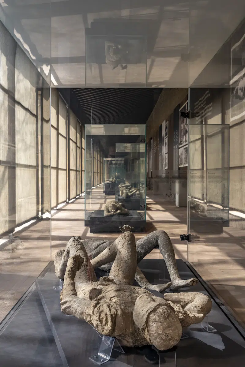 Plaster Casts of Pompeii Victims Exhibited