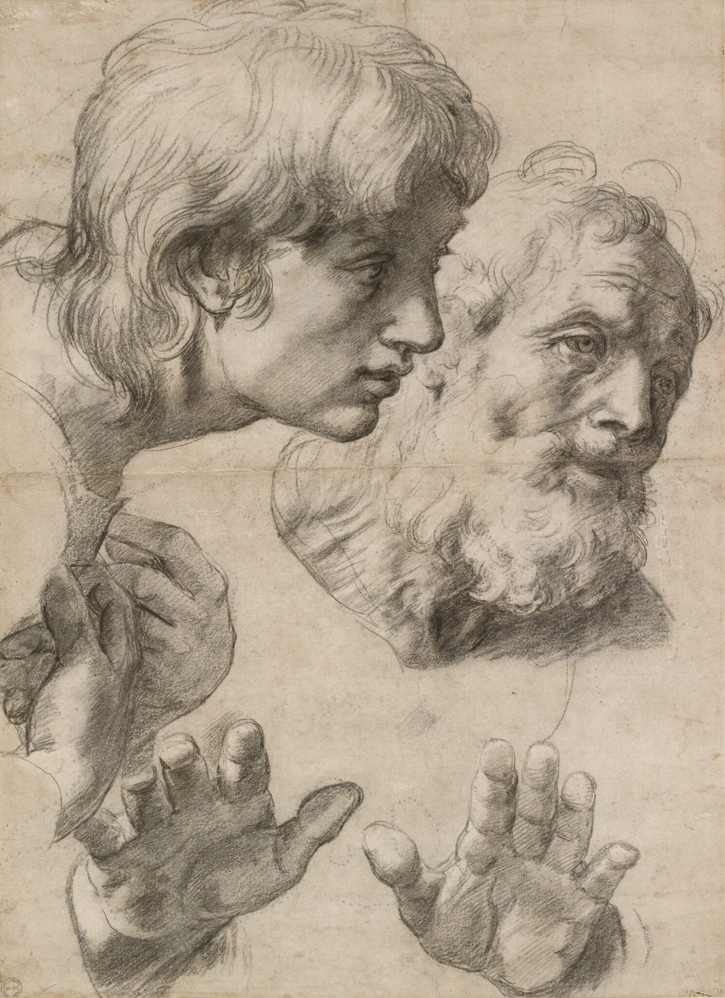 “The Head and Hands of Two Apostles (“Auxiliary Cartoon” for the Transfiguration),” ca. 1519-20. Black chalk, traces of white gouache highlights, drawn freehand over pounce marks on laid paper. (Photo: Ashmolean Museum, Oxford)