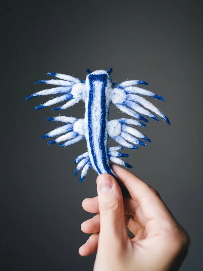Felted Sea Slugs by Arina Borevich
