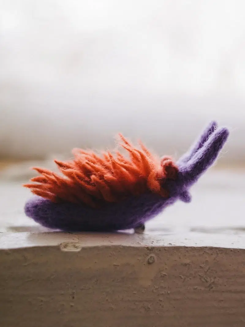Felted Sea Slugs by Arina Borevich