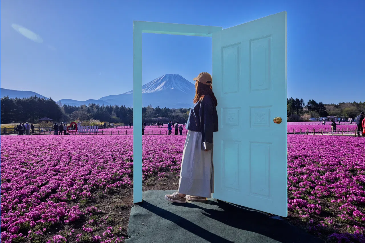 2026 Fuji Shibazakura Festival