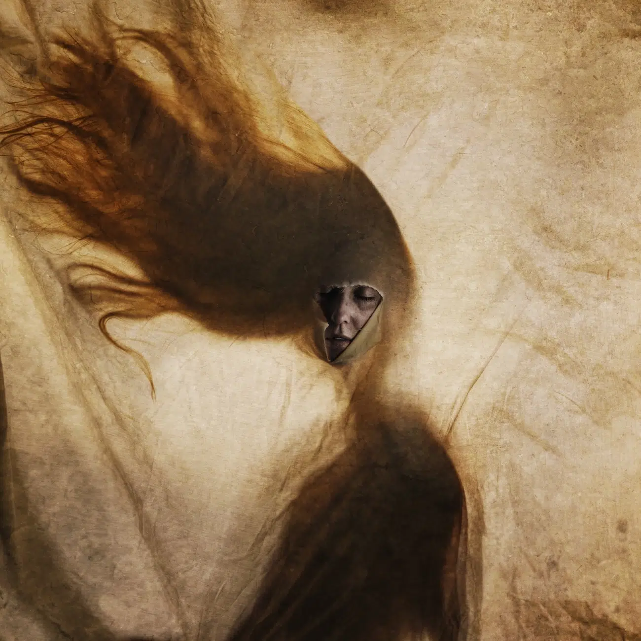 All About Photo Award Winners