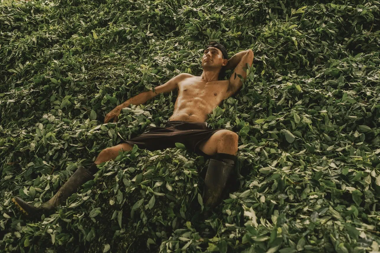 Sony World Photography Awards Winners 2026